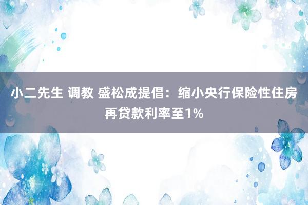 小二先生 调教 盛松成提倡：缩小央行保险性住房再贷款利率至1%