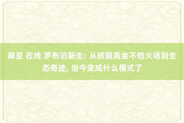 麻豆 在线 罗布泊新生: 从核锻真金不怕火场到生态奇迹， 当今变成什么模式了