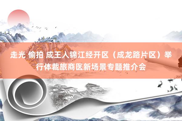 走光 偷拍 成王人锦江经开区（成龙路片区）举行体裁旅商医新场景专题推介会