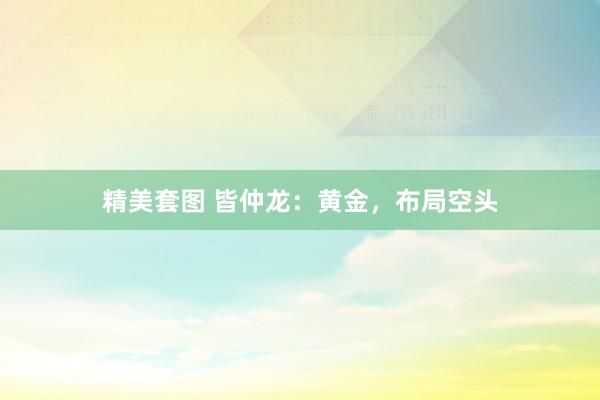 精美套图 皆仲龙：黄金，布局空头