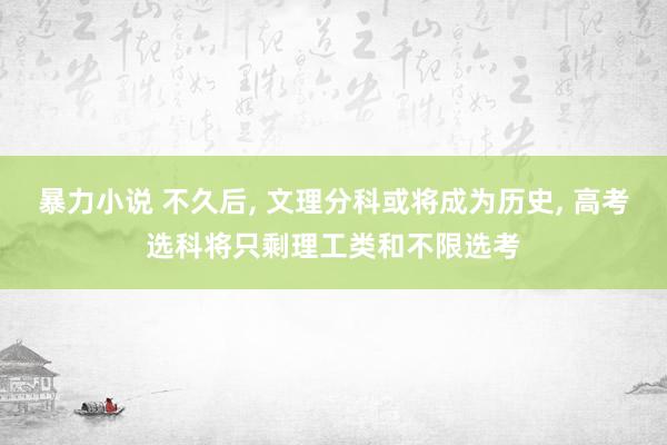 暴力小说 不久后， 文理分科或将成为历史， 高考选科将只剩理工类和不限选考