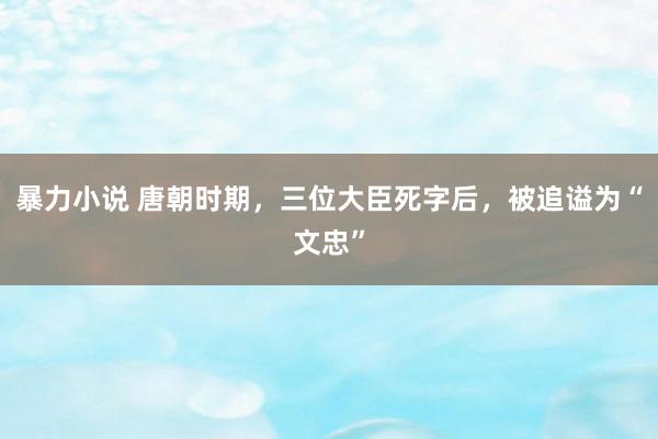 暴力小说 唐朝时期，三位大臣死字后，被追谥为“文忠”