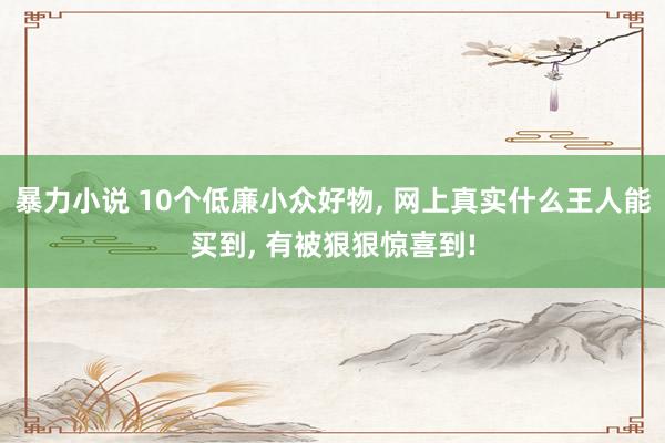 暴力小说 10个低廉小众好物， 网上真实什么王人能买到， 有被狠狠惊喜到!