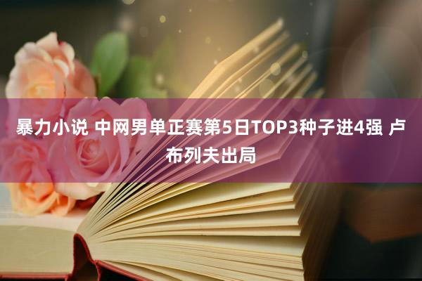 暴力小说 中网男单正赛第5日TOP3种子进4强 卢布列夫出局