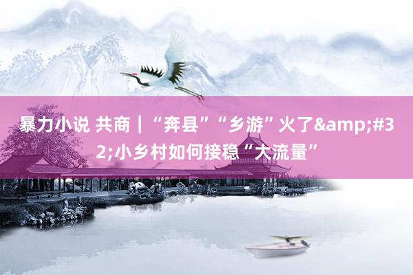 暴力小说 共商｜“奔县”“乡游”火了&#32;小乡村如何接稳“大流量”