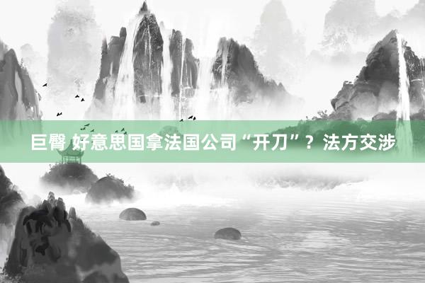 巨臀 好意思国拿法国公司“开刀”？法方交涉
