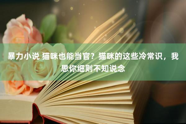 暴力小说 猫咪也能当官？猫咪的这些冷常识，我思你细则不知说念