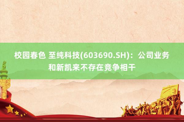 校园春色 至纯科技(603690.SH)：公司业务和新凯来不存在竞争相干