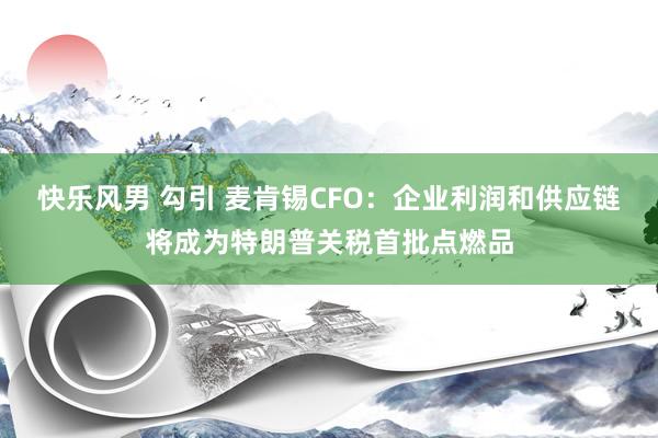 快乐风男 勾引 麦肯锡CFO：企业利润和供应链将成为特朗普关税首批点燃品