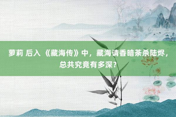 萝莉 后入 《藏海传》中，藏海请香暗荼杀陆烬，总共究竟有多深？